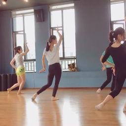 成人傣族舞教学视频,成人舞蹈教学视频精华解析