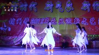 成人舞蹈庆元旦视频大全,成人舞蹈盛宴视频集锦