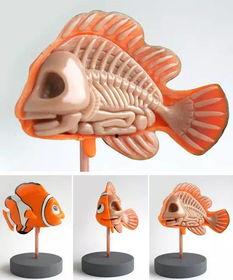 鳗鱼成人玩具视频,鳗鱼成人玩具视频深度解析