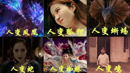 凤凰变成人的视频下载,揭秘凤凰变人神秘视频背后的奇幻之旅