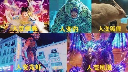 凤凰变成人的视频下载,揭秘凤凰变人神秘视频背后的奇幻之旅