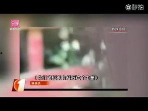 成人礼物视频在线观看