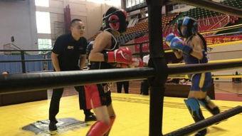 新疆成人散打比赛视频,激情四溢的武术盛宴