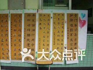 成人书法课程视频