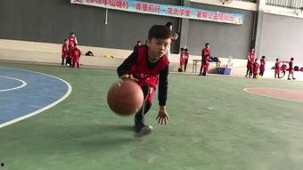 篮球训练营成人推荐视频,体验篮球运动的激情与魅力