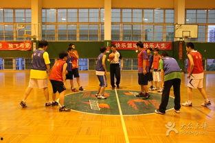 篮球训练营成人推荐视频,体验篮球运动的激情与魅力